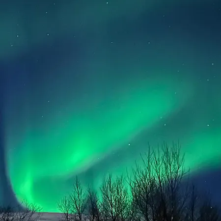 Kaldfjord Aurora Aparments New